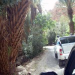 un pick up isuzu dmax sur les chemin du maroc
