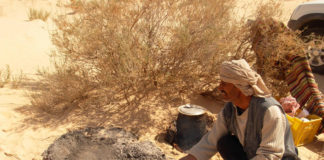 voyageur tout terrain en Tunisie