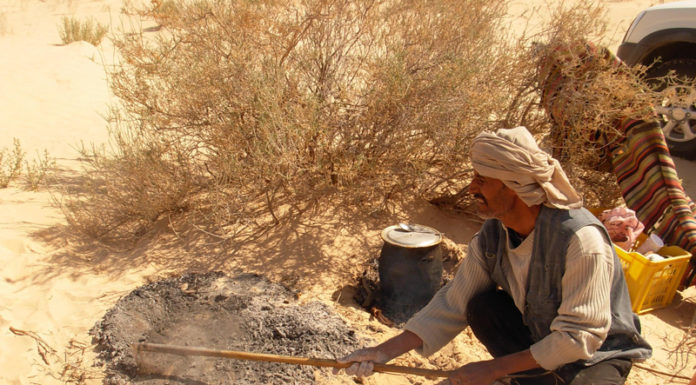 lepickup.fr – Voyageur Tout Terrain en Tunisie voyageur tout terrain en Tunisie