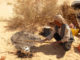 voyageur tout terrain en Tunisie