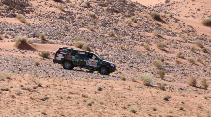 Gazelles en Isuzu